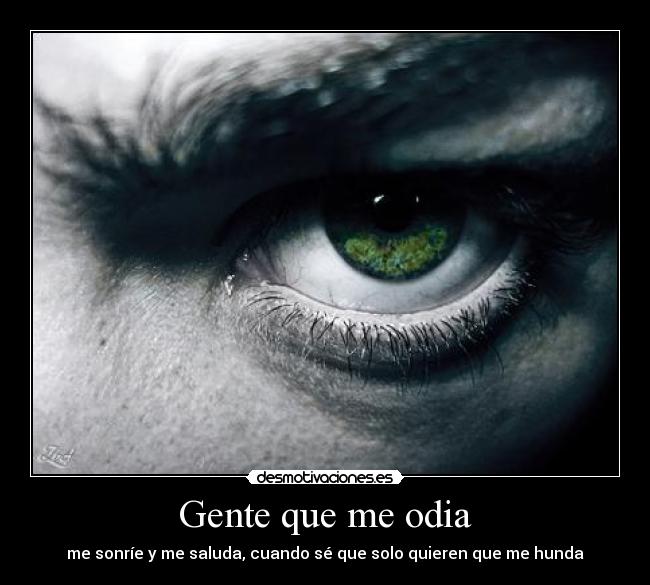 carteles odiosonreirsaludarfalsoshundirsaberquerer desmotivaciones