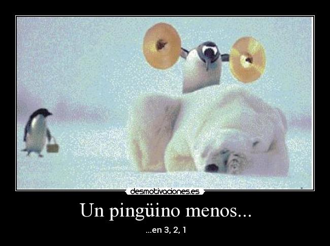 Un pingüino menos... - 