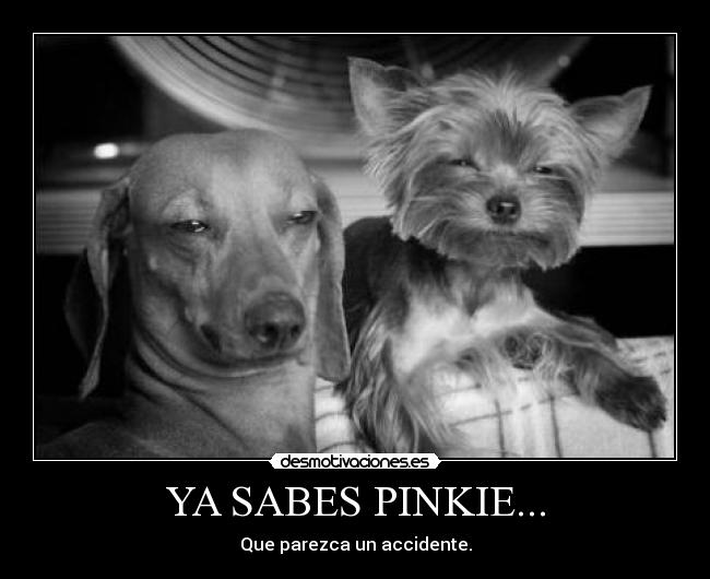YA SABES PINKIE... -