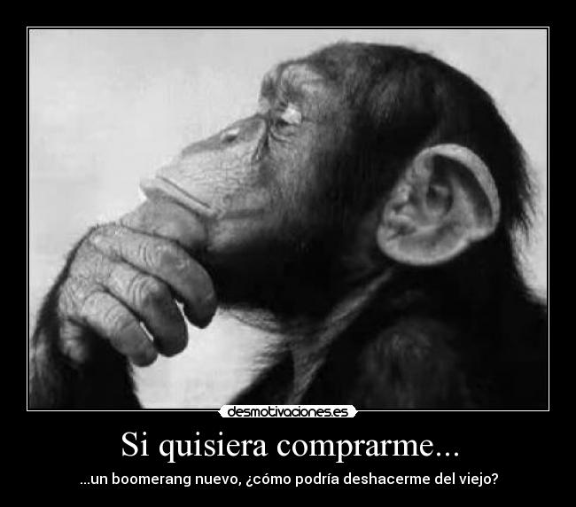 Si quisiera comprarme... - ...un boomerang nuevo, ¿cómo podría deshacerme del viejo?