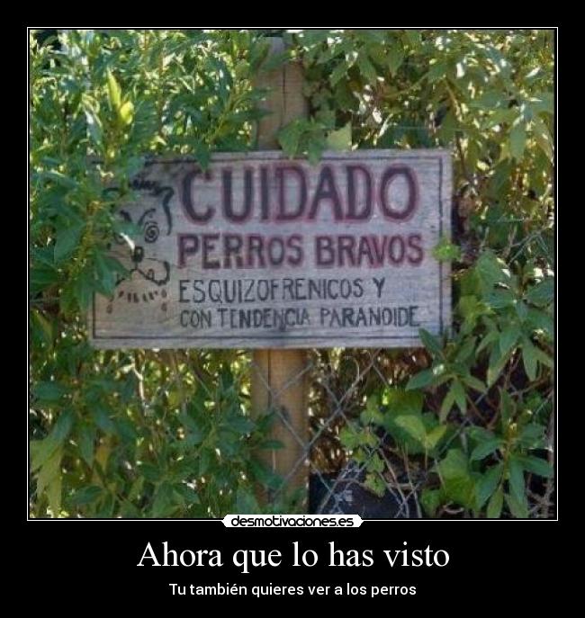 carteles senal perros esquizofrenicos desmotivaciones