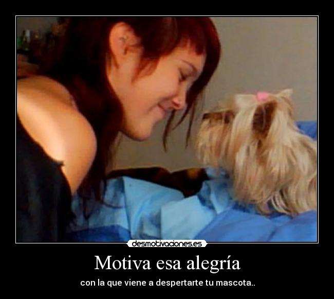 Motiva esa alegría - 