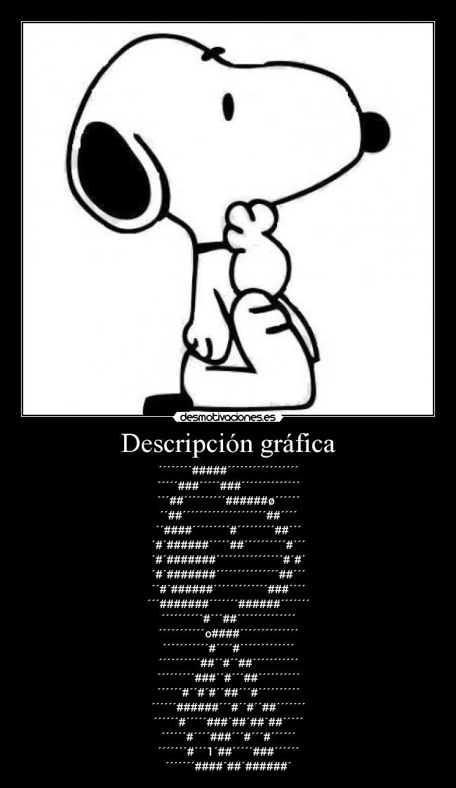 Descripción gráfica - 