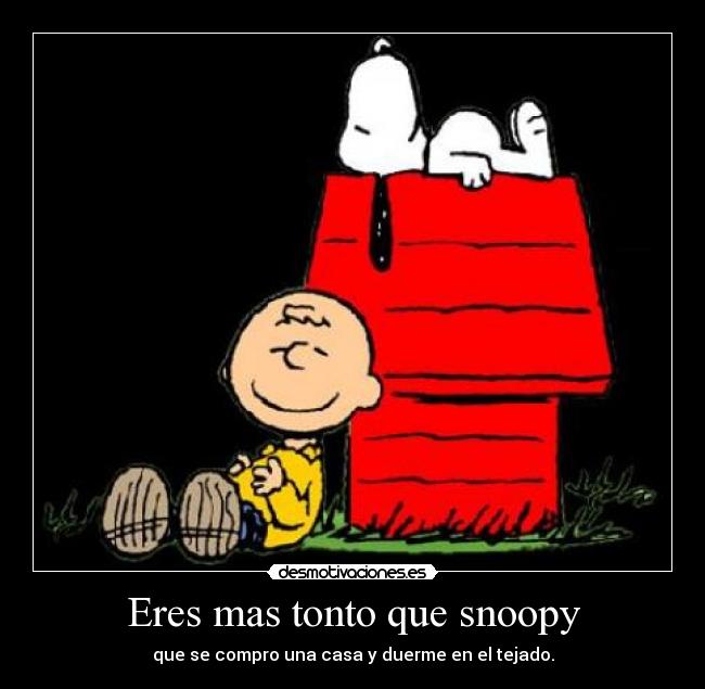 Eres mas tonto que snoopy - que se compro una casa y duerme en el tejado.