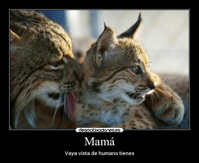 Mamá - Vaya vista de humano tienes