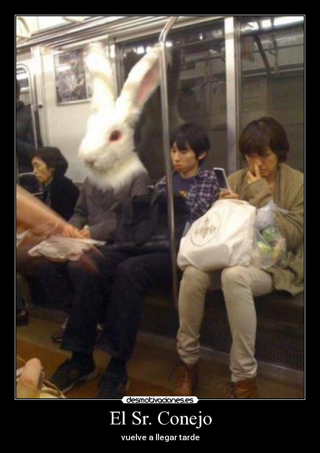 El Sr. Conejo - vuelve a llegar tarde