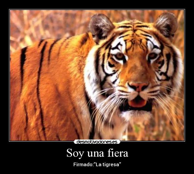 Soy una fiera - Firmado:La tigresa