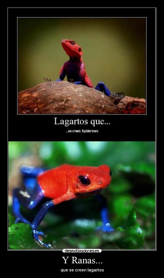 Y Ranas... -