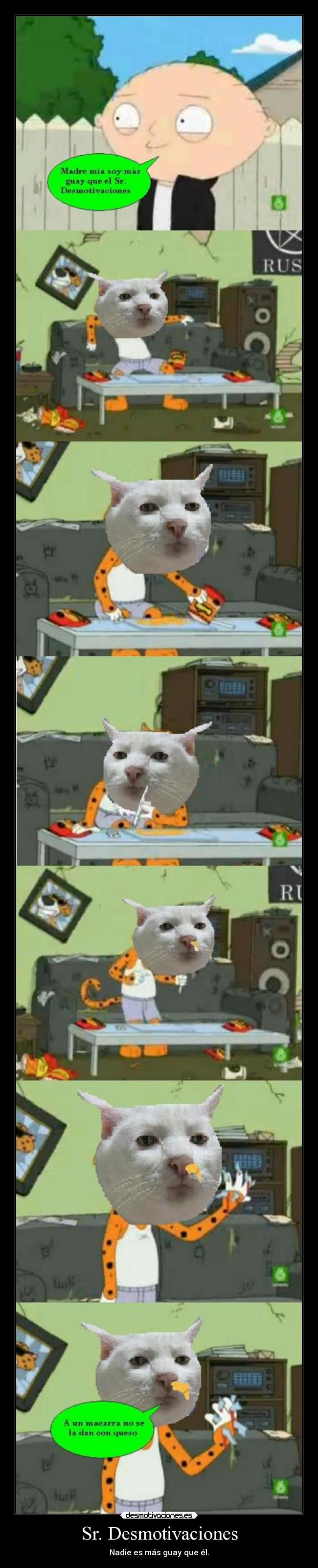 Sr. Desmotivaciones - Nadie es más guay que él.