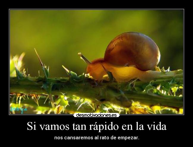 Si vamos tan rápido en la vida -