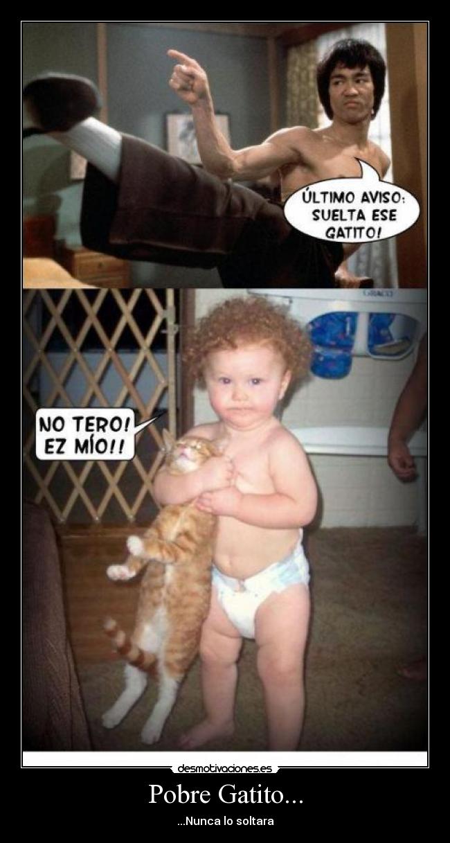 Pobre Gatito... -