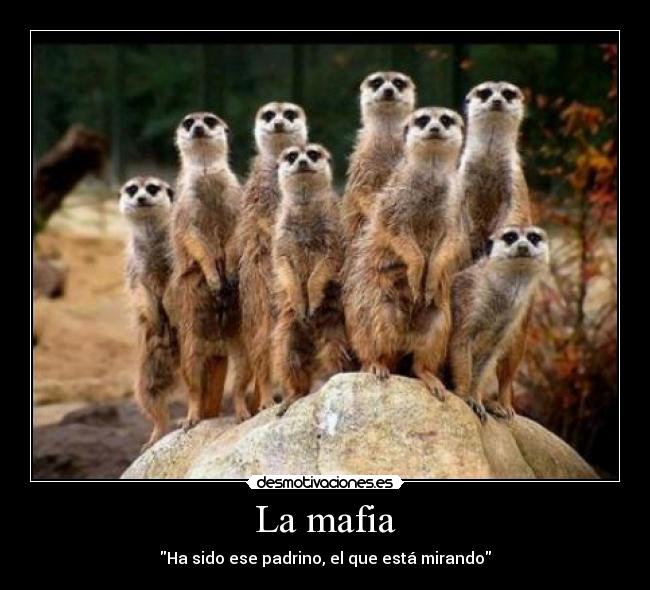La mafia -