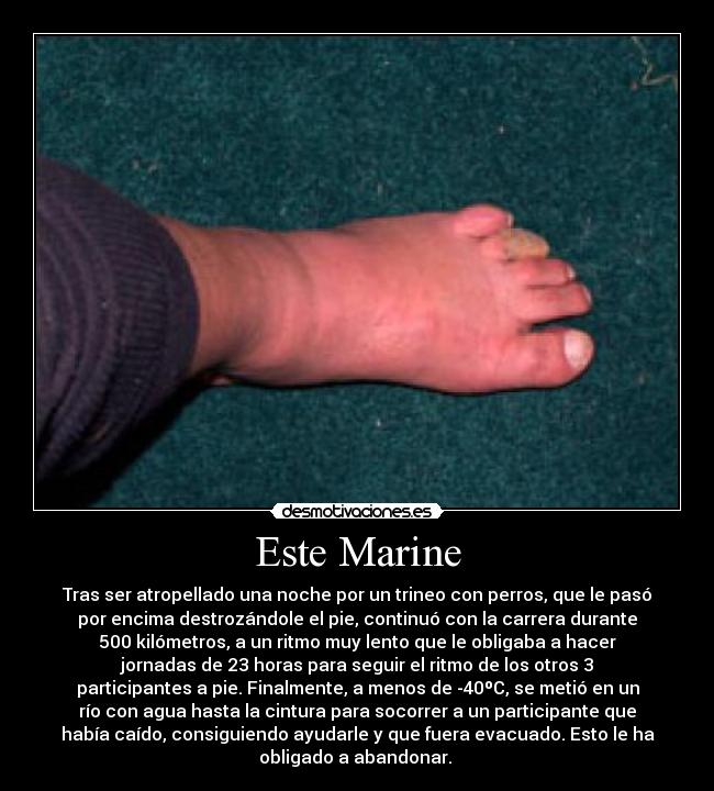 Este Marine - 