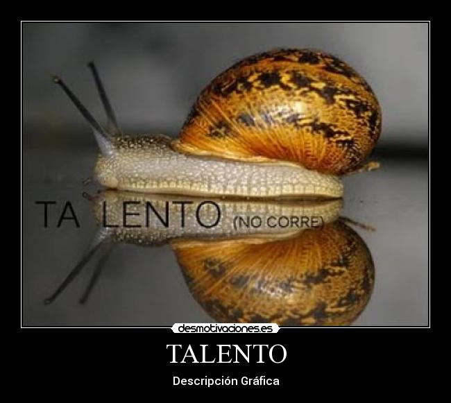 TALENTO -