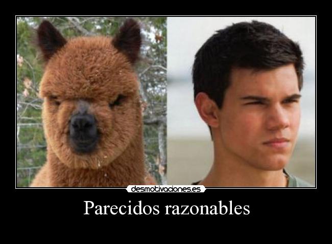 Parecidos razonables - 