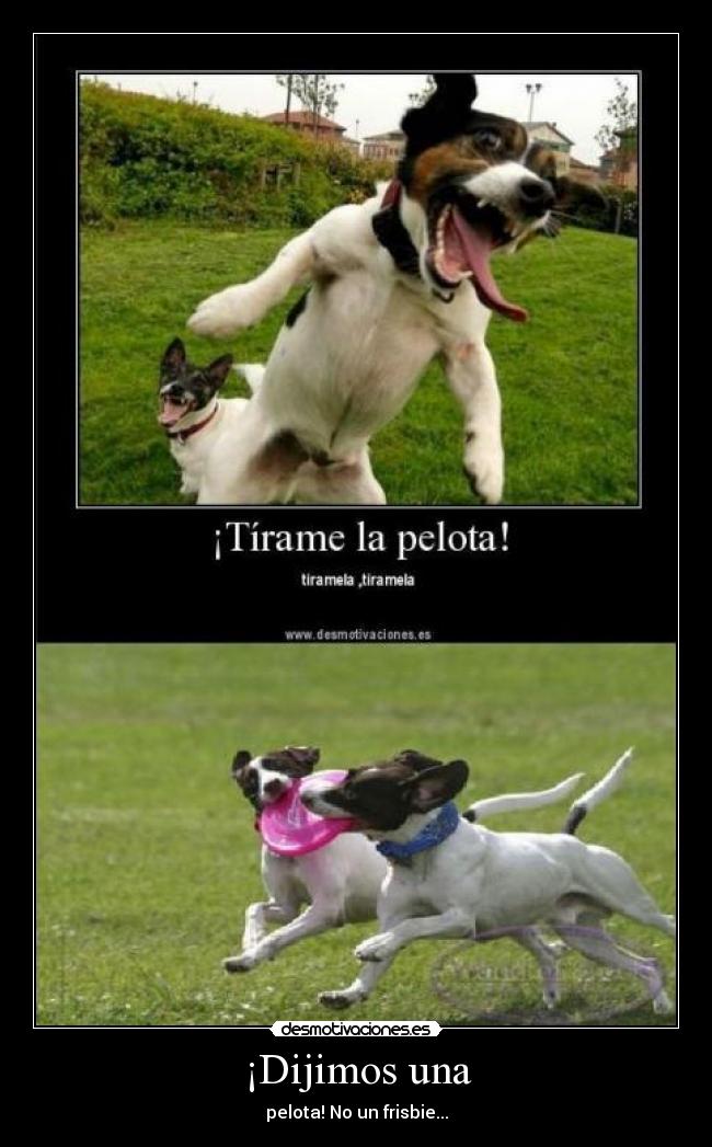 ¡Dijimos una - pelota! No un frisbie...