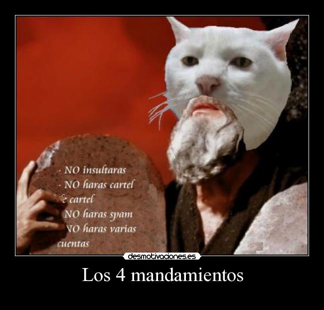 Los 4 mandamientos - 