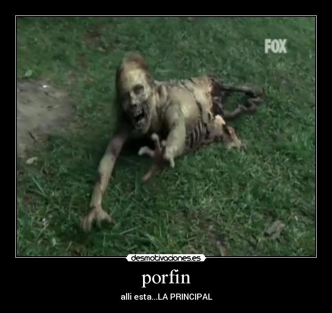 porfin -