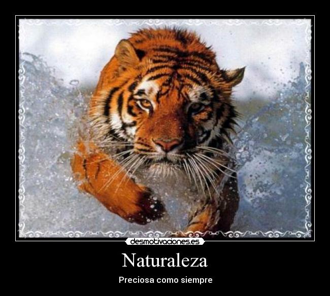 Naturaleza - Preciosa como siempre