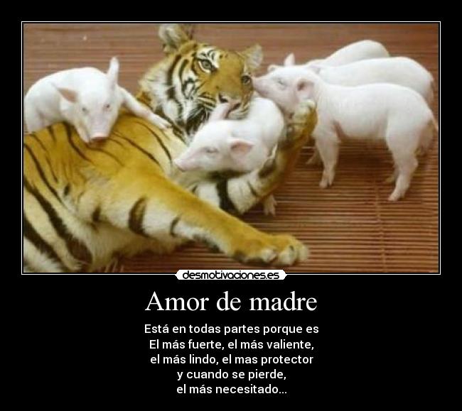 Amor de madre -