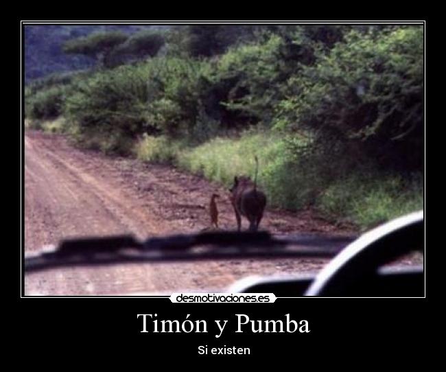 Timón y Pumba - Si existen