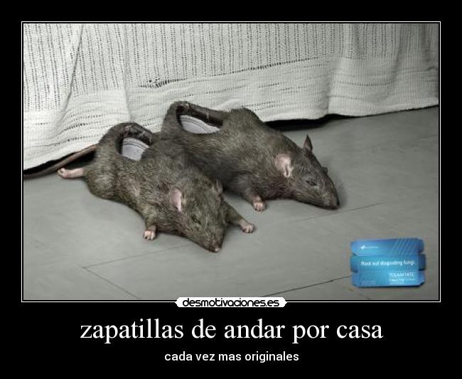 zapatillas de andar por casa -