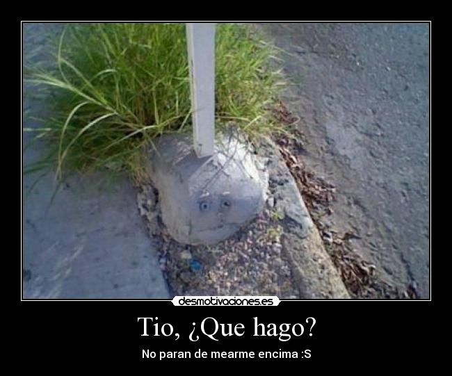 Tio, ¿Que hago? -