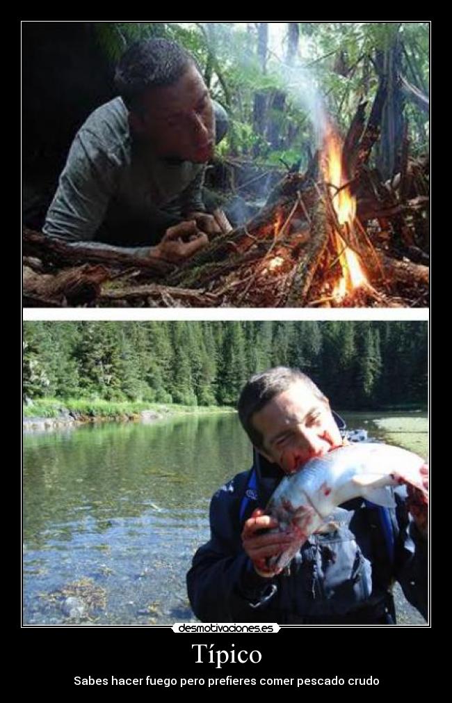 Típico - Sabes hacer fuego pero prefieres comer pescado crudo
