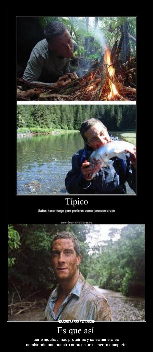 Es que así - tiene muchas más proteínas y sales minerales
combinado con nuestra orina es un alimento completo.