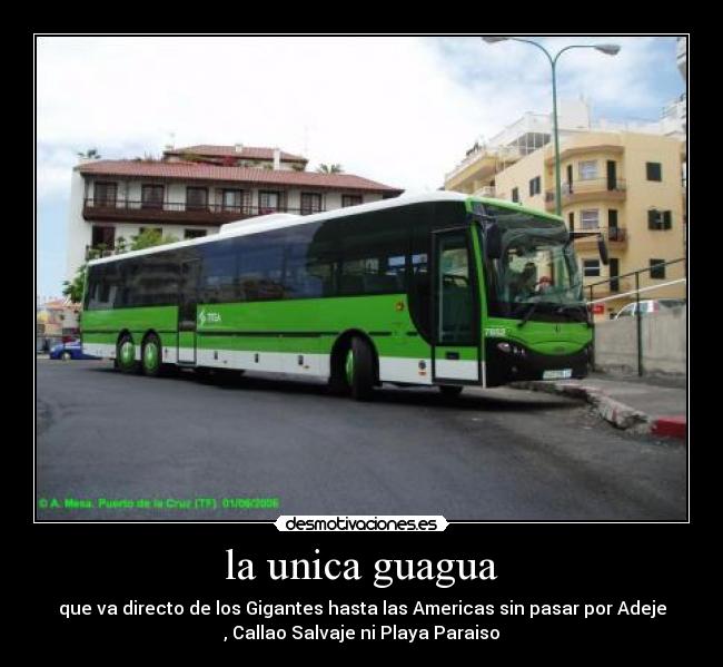 la unica guagua - 