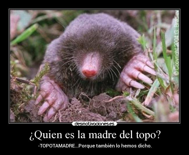 ¿Quien es la madre del topo? -