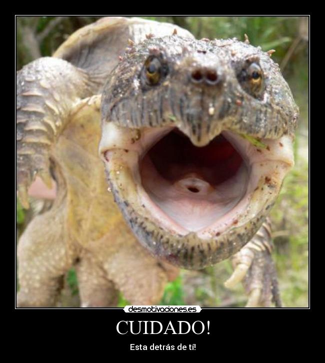 CUIDADO! -