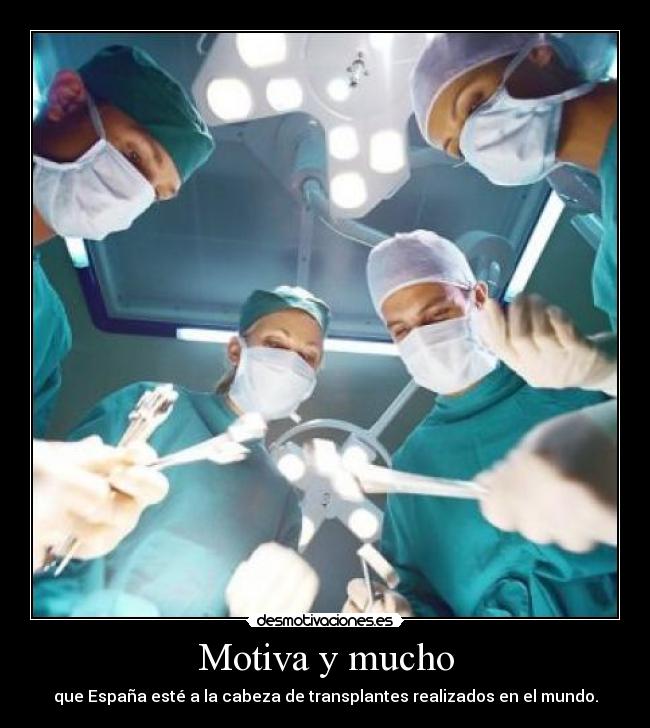 Motiva y mucho - que España esté a la cabeza de transplantes realizados en el mundo.