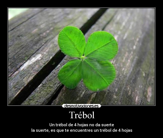 Trébol - Un trébol de 4 hojas no da suerte
la suerte, es que te encuentres un trébol de 4 hojas
