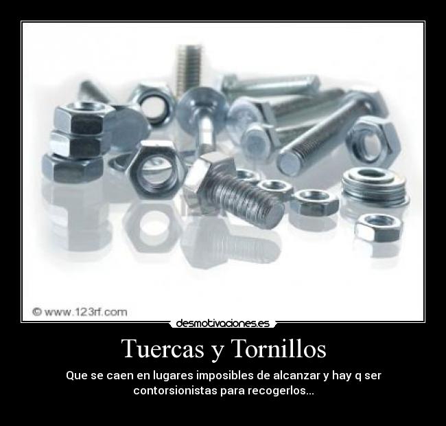 Tuercas y Tornillos - 