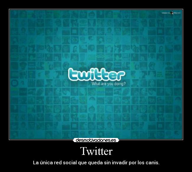 Twitter -
