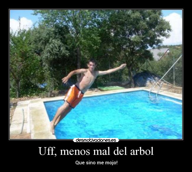 Uff, menos mal del arbol -