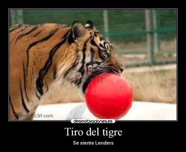 Tiro del tigre - Se siente Lenders