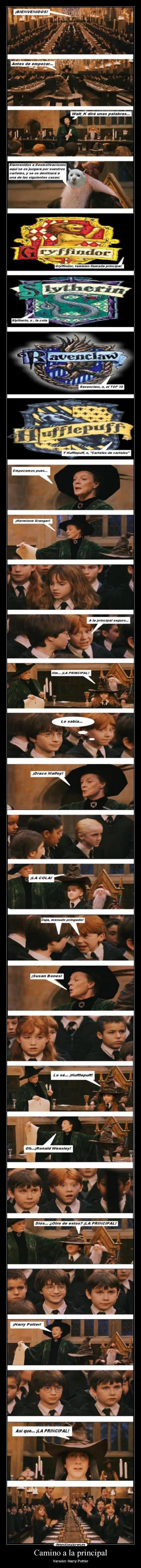 Camino a la principal - 