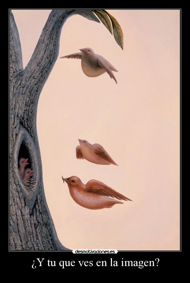 ¿Y tu que ves en la imagen? - 