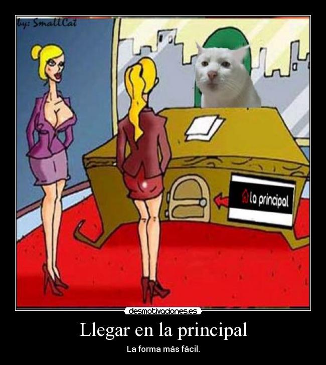 Llegar en la principal - 