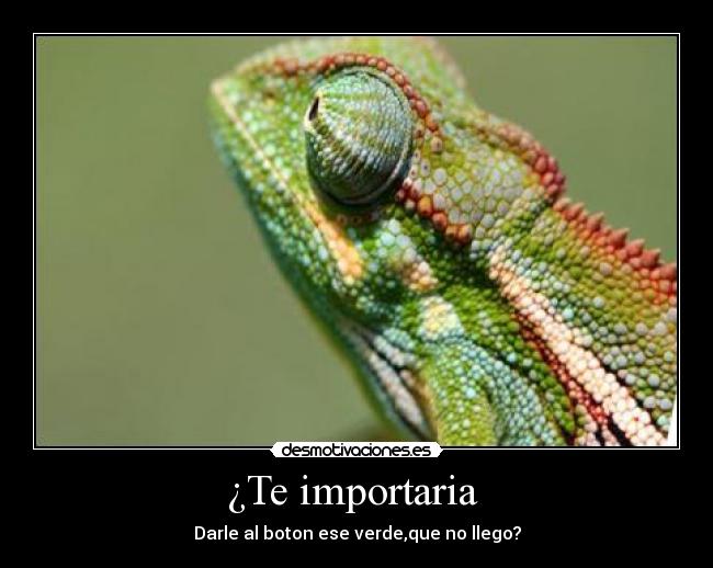 ¿Te importaria  - 