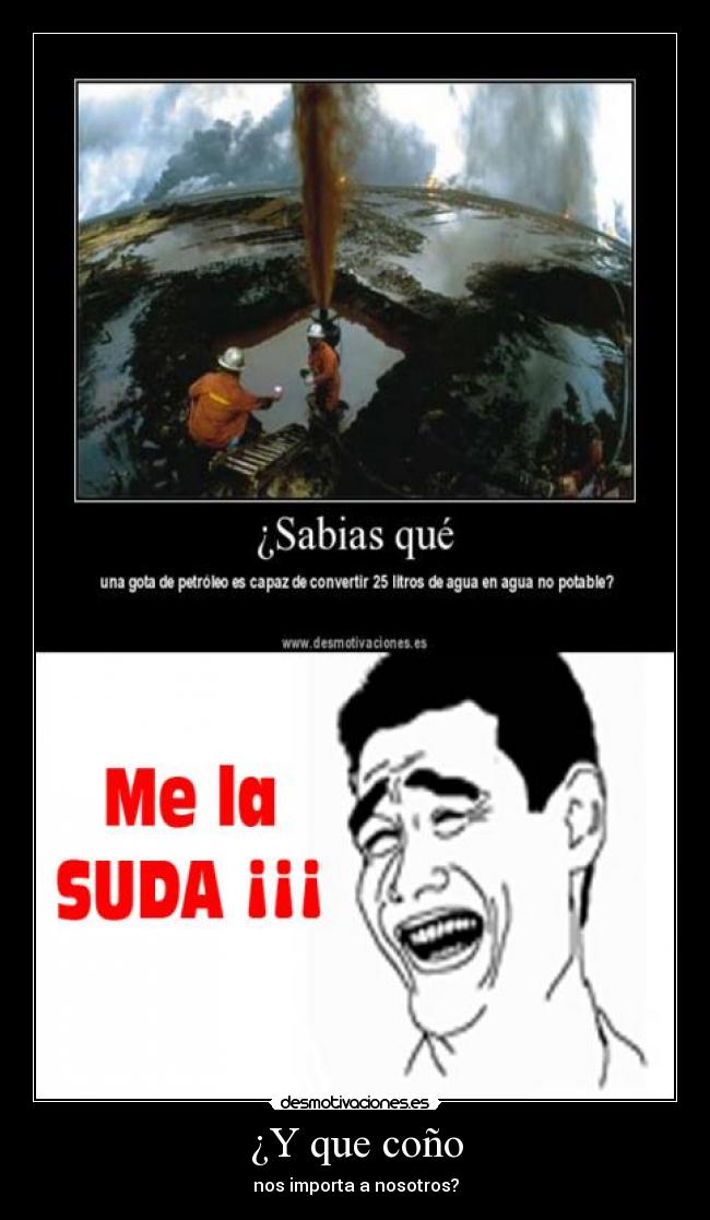 ¿Y que coño - nos importa a nosotros?