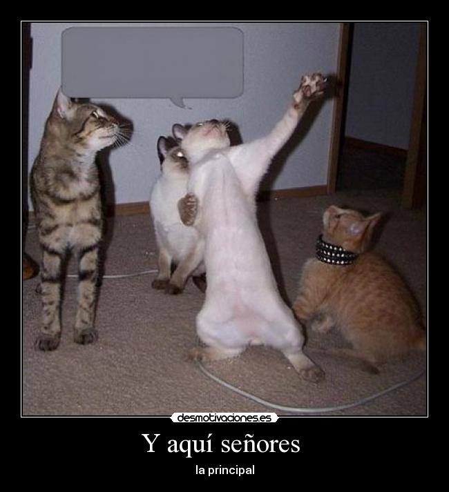 Y aquí señores  - la principal