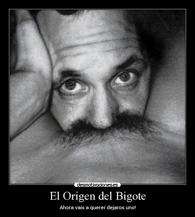 El Origen del Bigote - 