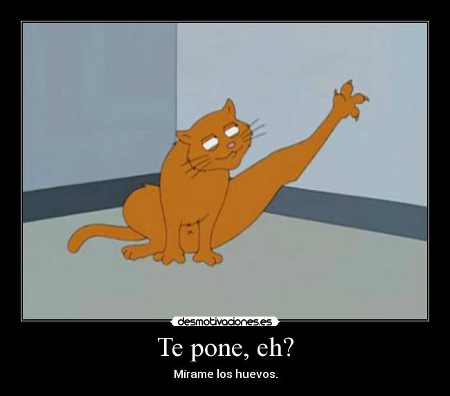 Te pone, eh? - Mírame los huevos.