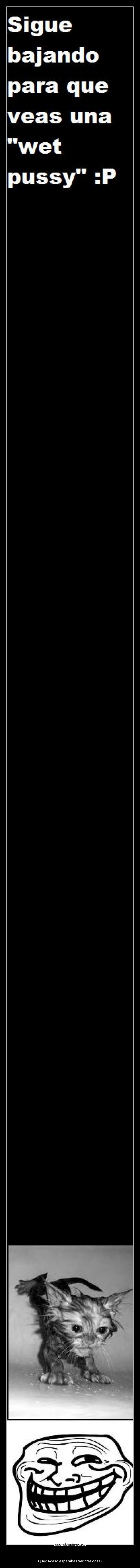 - Qué? Acaso esperabas ver otra cosa?