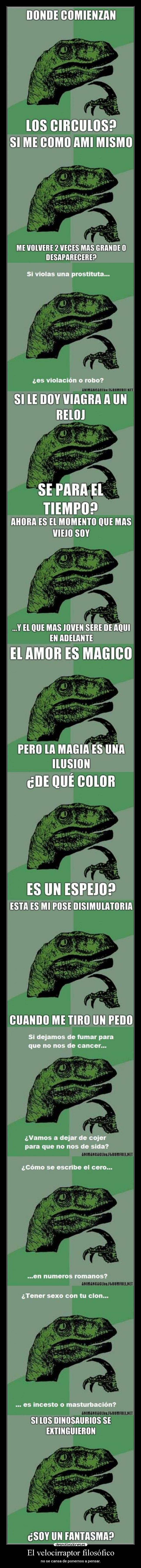 El velocirraptor filosófico -