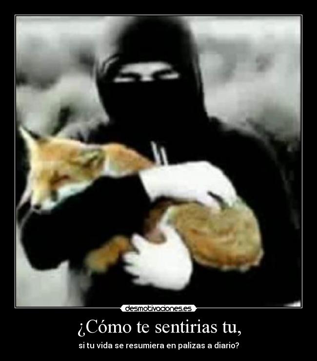 ¿Cómo te sentirias tu, -