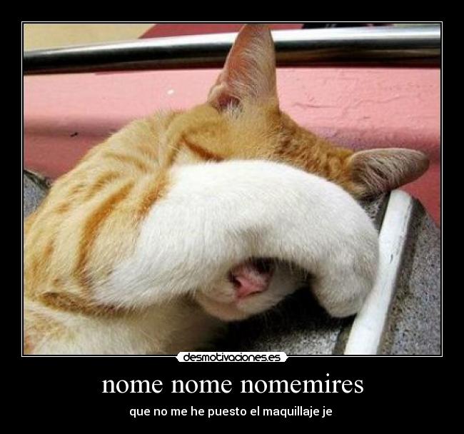 nome nome nomemires -